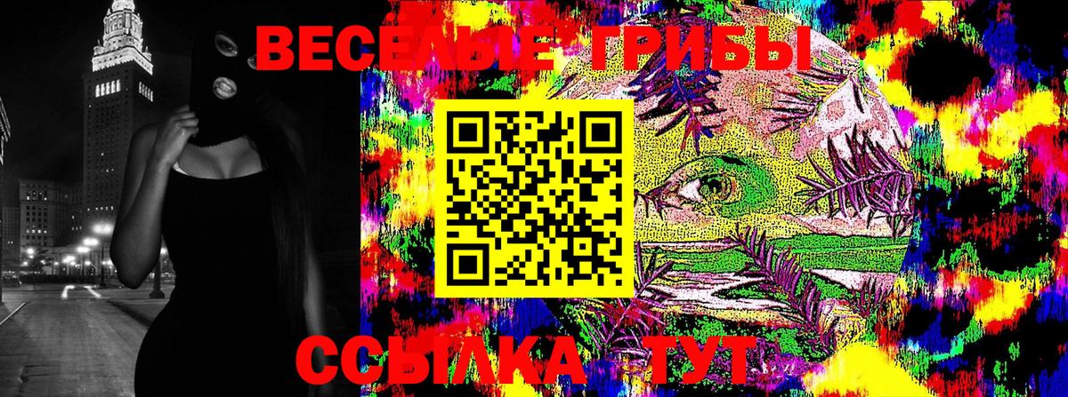 Галлюциногенные грибы мухоморы Нижнеудинск