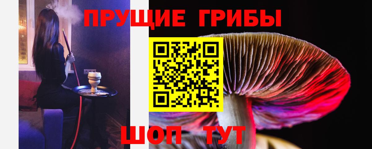 даркнет сайт  Вход с VPN  Псилоцибиновые грибы мицелий  Нижнеудинск  Галлюциногенные грибы мицелий 